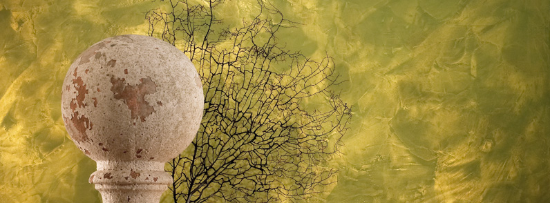 aureum-02-796x294