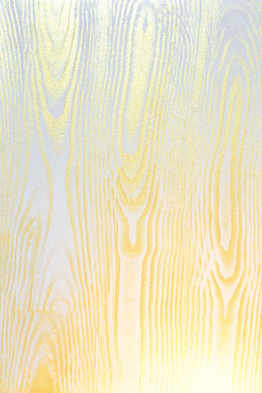 F00041
