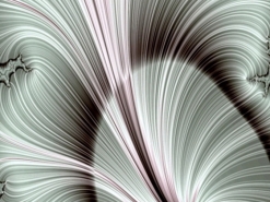 A_0079