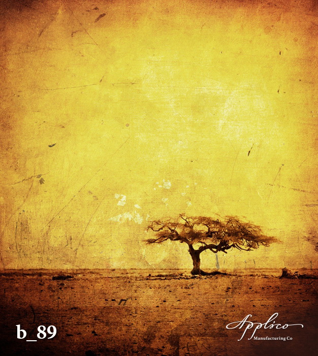 B_0089