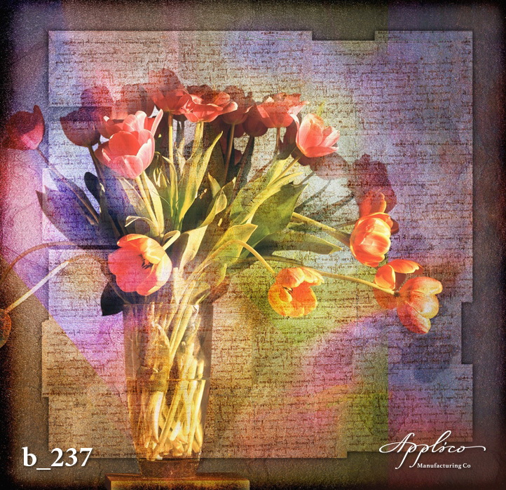 B_0237
