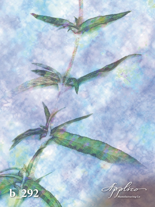 B_0292