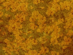 B_0057