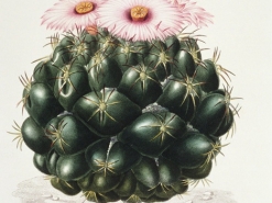 B_0160