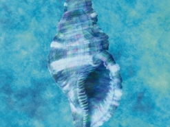 B_0287