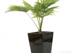 Y_0387