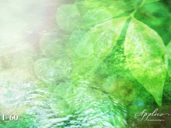 L_0060
