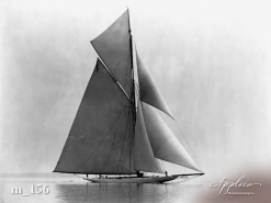 M_0156
