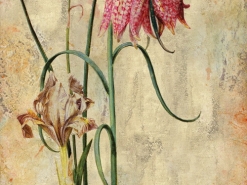 0325