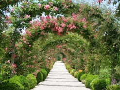 Q_0872