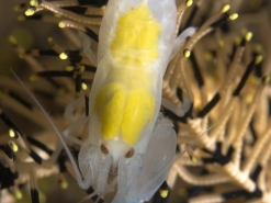 R_0108