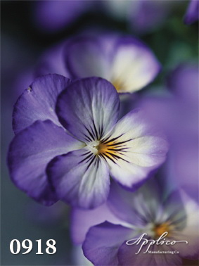 0918