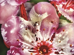 0294