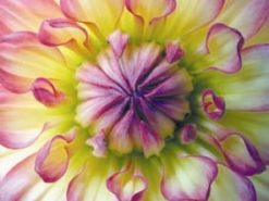 0919
