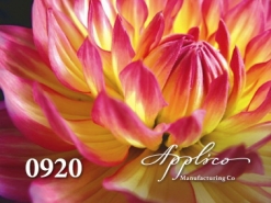 0920