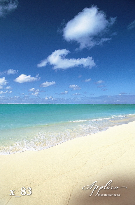 X_0083