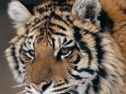 I_0149